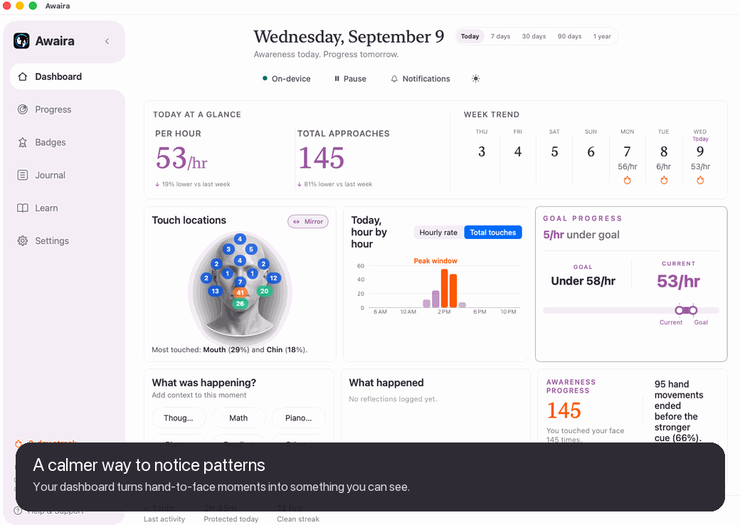 Awaira desktop dashboard walkthrough showing activity patterns and reflections
